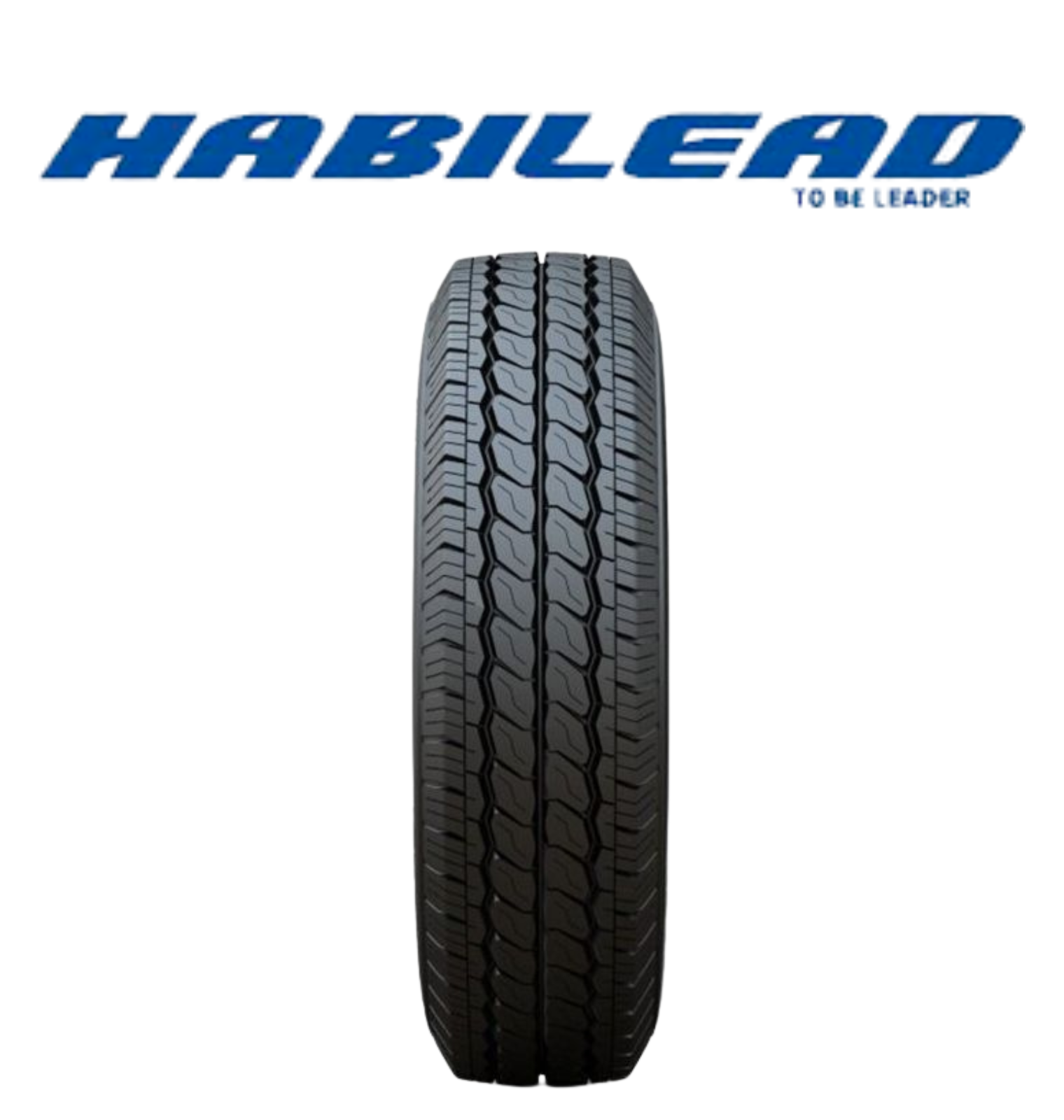 HABILEAD RS01 (1)